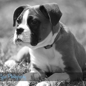 Katie Ryan Photography - My pretty Lucy - Photographers Near Me Katie Ryan Photography - My pretty Lucy - Photographers Near Me
