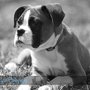 Photo of Katie Ryan Photography