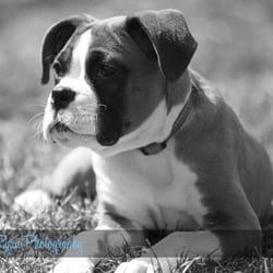 Katie Ryan Photography - My pretty Lucy