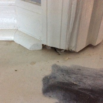 MPP Coatings - Painters Near Me - Port Orange, Florida MPP Coatings - Painters Near Me - Port Orange, Florida