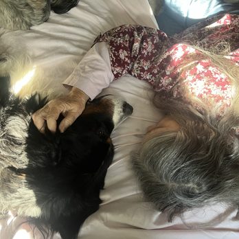 CodaPet - Saying goodbye with peace and the comfort of her safe space. - Veterinarians Near Me