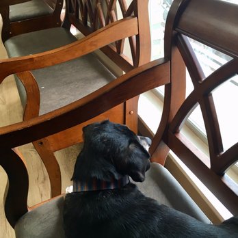Azalea Lakes Veterinary Clinic - Veterinarians Near Me - Baton Rouge, Louisiana