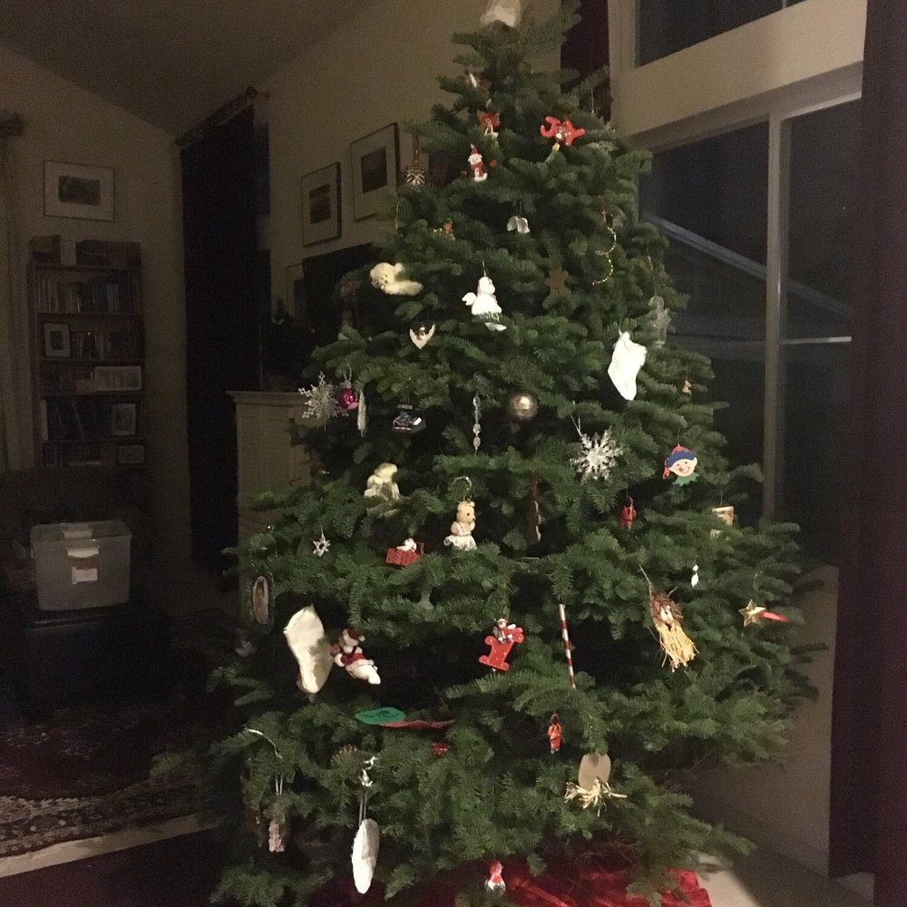 Tom's Flower Stop - The best Christmas tree I have ever had - Florists Near Me - Union City, California Tom's Flower Stop - The best Christmas tree I have ever had - Florists Near Me - Union City, California