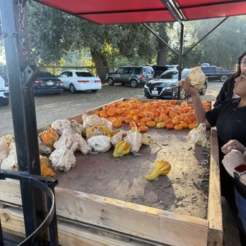 Sunflower Farm Stand - Pumpkin cart - Honey Near Me - Sanger, California