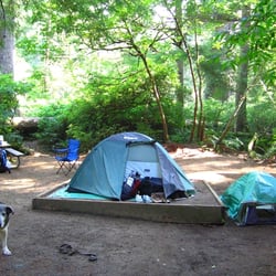 Oswald West State Park - Emma preferred the human tent to her doggie tent.