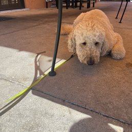 Henry loves Foster's Grille as well!