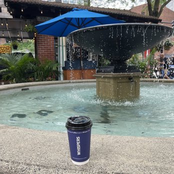 Whispers Cafe - Sitting at the fountain with my cup of coffee. - Coffee & Tea Near Me - Chicago, Illinois