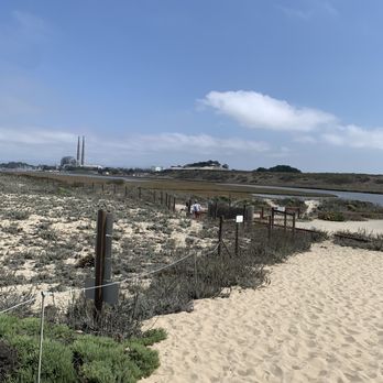 Salinas River State Beach - Beaches Near Me Salinas River State Beach - Beaches Near Me