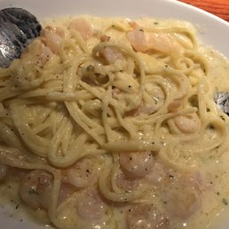 Shrimp Alfredo