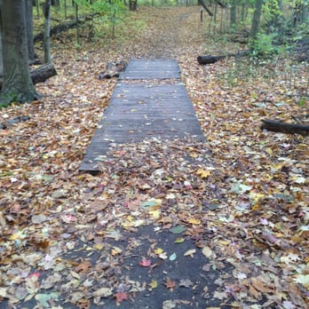 Maybury State Park - Part of trail 7/6 leading back, bottom of the loop - Parks Near Me - Northville, Michigan