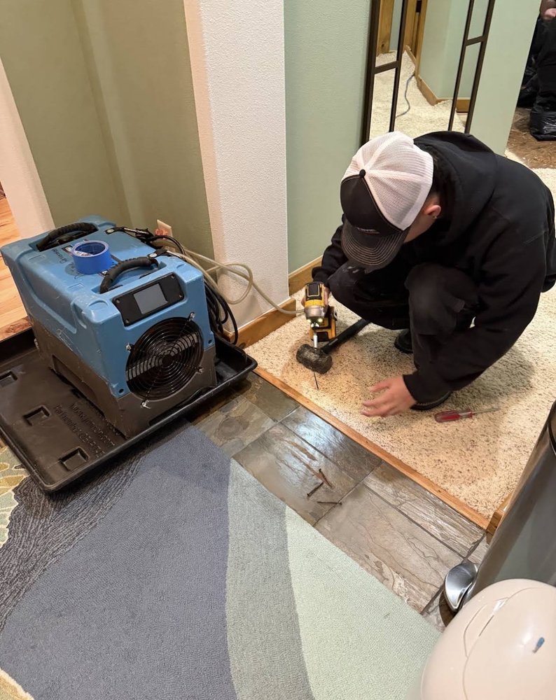 Safenix Mold Inspections - mold inspector in Los Angeles, CA