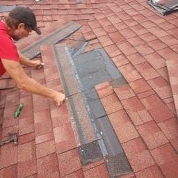 Slide of Dr Roof of Tampa Bay