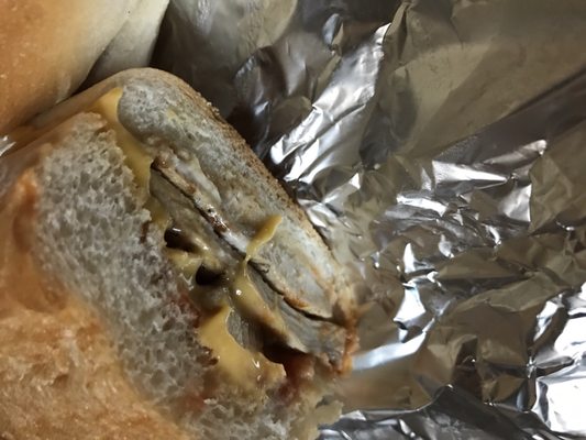 Rocco Pizza III by null