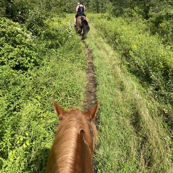 Franconia Notch Stables - Horseback Riding Near Me - Franconia, New Hampshire