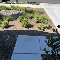 Front yard