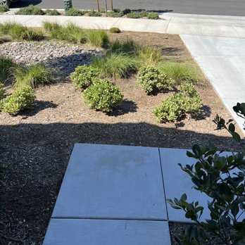 Grizzly Landscape - Front yard - Landscaping Near Me