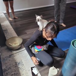Blue Healer Yoga - Fundraiser for Pet Vet