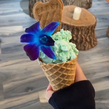 Serendipity BK - Mint Gelato - Gelato Near Me - Brooklyn, New York Serendipity BK - Mint Gelato - Gelato Near Me - Brooklyn, New York