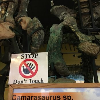 Wyoming Dinosaur Center - Museums Near Me - Thermopolis, Wyoming Wyoming Dinosaur Center - Museums Near Me - Thermopolis, Wyoming