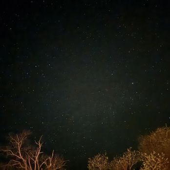 Benbow KOA - Night sky from site 52 - Campgrounds Near Me - Garberville, California