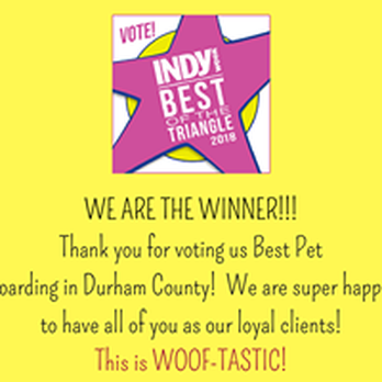 Camp Bow Wow - Pet Training Near Me - Durham, North Carolina Camp Bow Wow - Pet Training Near Me - Durham, North Carolina