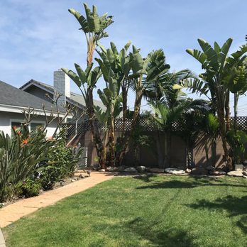 Jae Tree Service - Cleaned up our paradise - Tree Services Near Me
