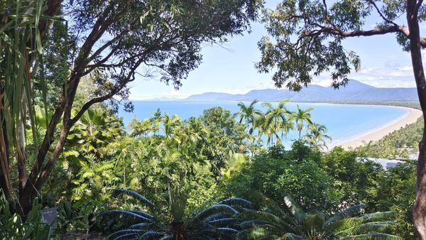 Trinity Bay Lookout by null