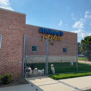 McKees Pet Place - Pet Sitting Near Me - Frisco, Texas McKees Pet Place - Pet Sitting Near Me - Frisco, Texas