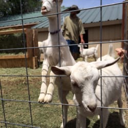 Wheeler Farm