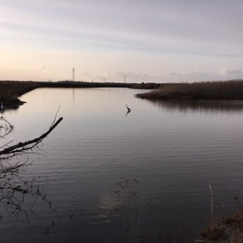 Arcata Marsh Interpretive Center - Another shot on the trail. - Museums Near Me - Arcata, California