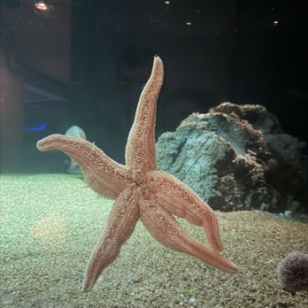 New England Aquarium - Aquariums Near Me - Boston, Massachusetts