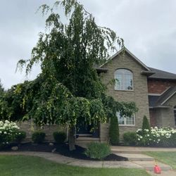 Longval Landscaping
