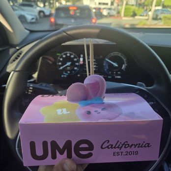 UMe Tea - Popcorn chicken - Bubble Tea Near Me - San Jose, California