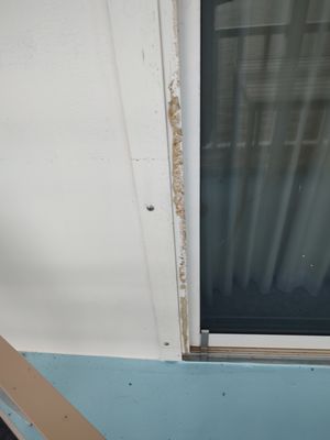 American Cruise Lines by null