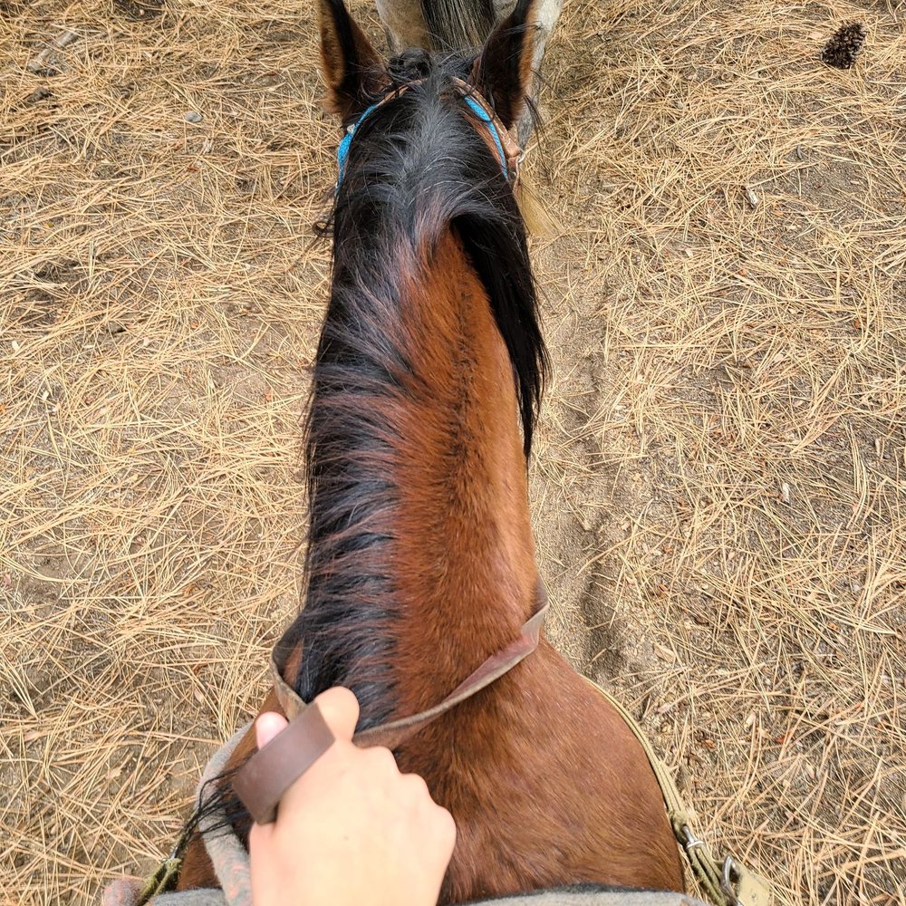 Zephyr Cove Stables - Horseback Riding Near Me - Zephyr Cove, Nevada Zephyr Cove Stables - Horseback Riding Near Me - Zephyr Cove, Nevada