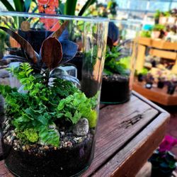 Bloomers Home & Garden Center