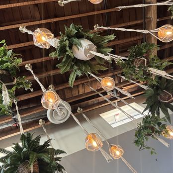 Better Buzz Coffee Hillcrest - Hanging plants over the mezzanine - Coffee & Tea Near Me - San Diego, California