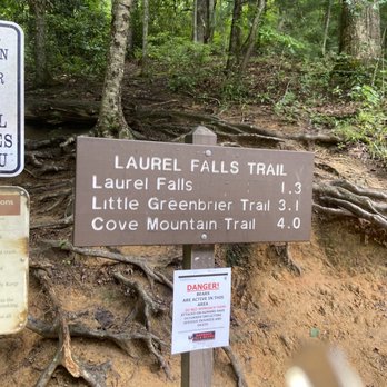 Laurel Falls Trailhead - Hiking Near Me - Gatlinburg, Tennessee Laurel Falls Trailhead - Hiking Near Me - Gatlinburg, Tennessee