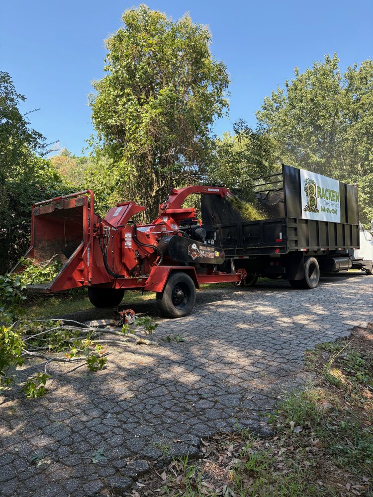 Bracken Tree Service - tree service in Taylors, SC
