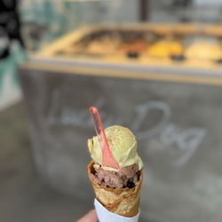 Lucky Dog Gelato