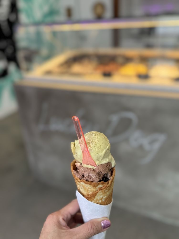 Lucky Dog Gelato - San Clemente, CA | joe coffee