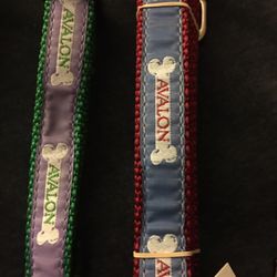 Paw Prints - Avalon Dog leashes and collars