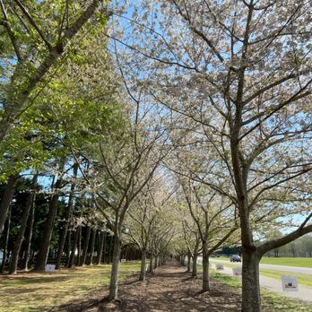 Red Wing Park - Dog Parks Near Me - Virginia Beach, Virginia