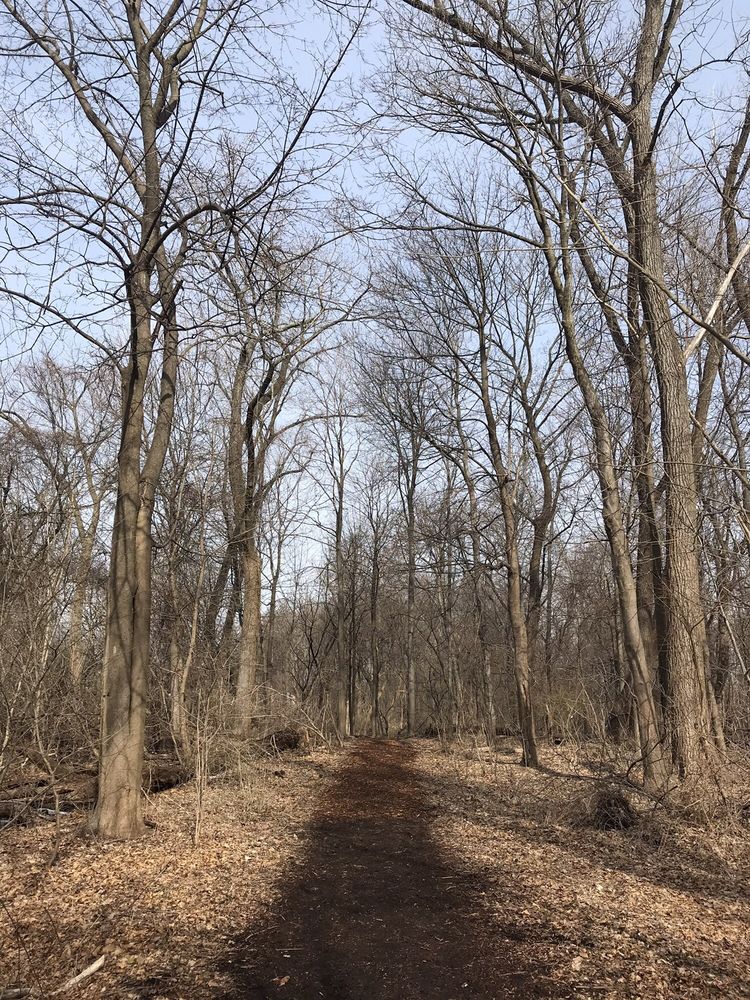 JACK HARRINGTON GREENWAY 90 Photos Gedney Way, White Plains, NY Yelp