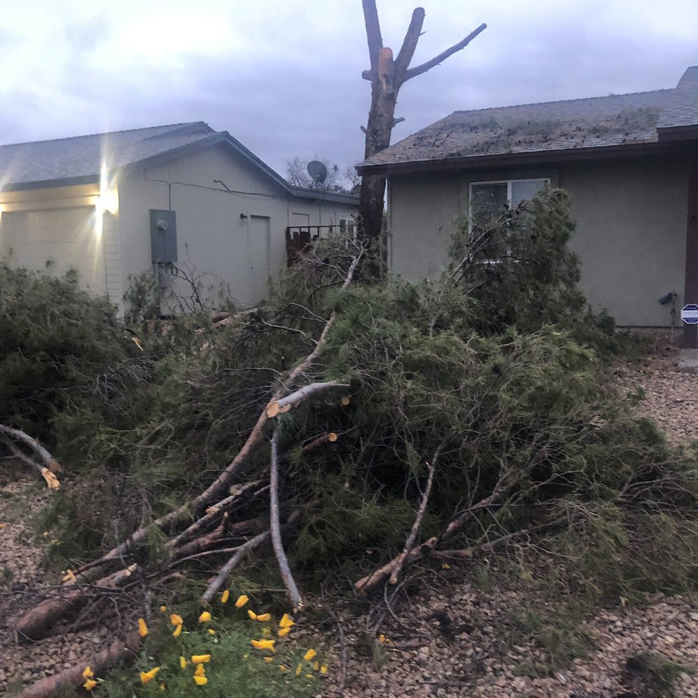 J-Rock Tree Service - The mess they left - Tree Services Near Me J-Rock Tree Service - The mess they left - Tree Services Near Me