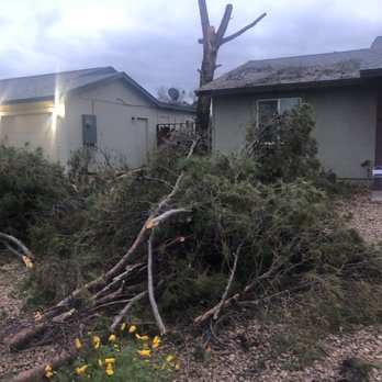 J-Rock Tree Service - The mess they left - Tree Services Near Me