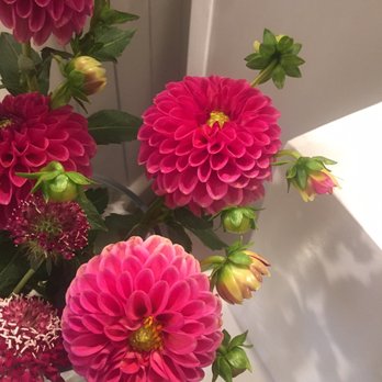 Field & Florist - Florists Near Me - Chicago, Illinois