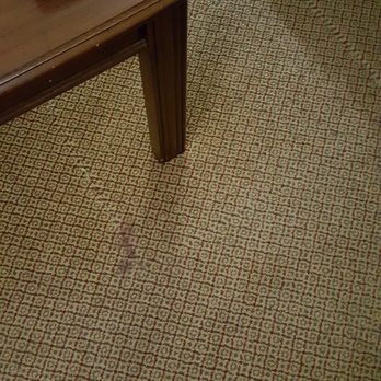 Split Rock Resort - Carpet nasty! - Ski Resorts Near Me - Lake Harmony, Pennsylvania Split Rock Resort - Carpet nasty! - Ski Resorts Near Me - Lake Harmony, Pennsylvania