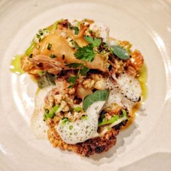 Bidlabu - Blumenkohl - Buchweizen, Zitrone & Miso