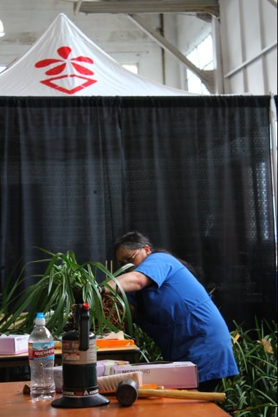 SAN FRANCISCO ORCHID SOCIETY - Updated July 2024 - 292 Photos & 30